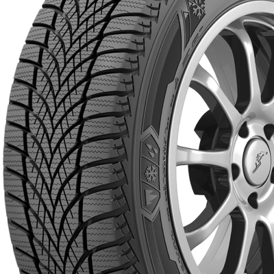 An automobile winter tire